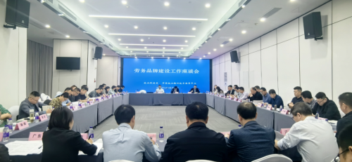 勞務(wù)品牌建設(shè)工作座談會(huì)在海南海口成功召開(kāi)，共商勞務(wù)服務(wù)發(fā)展新篇章
